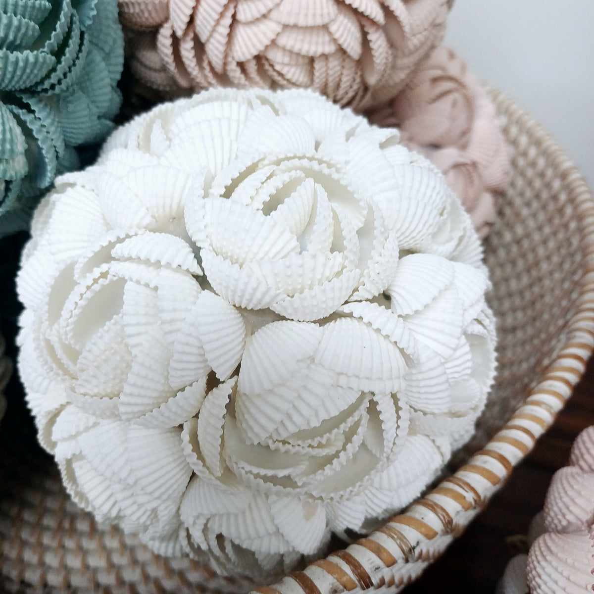 Hard Shell Ball Shell Balls – Home Story