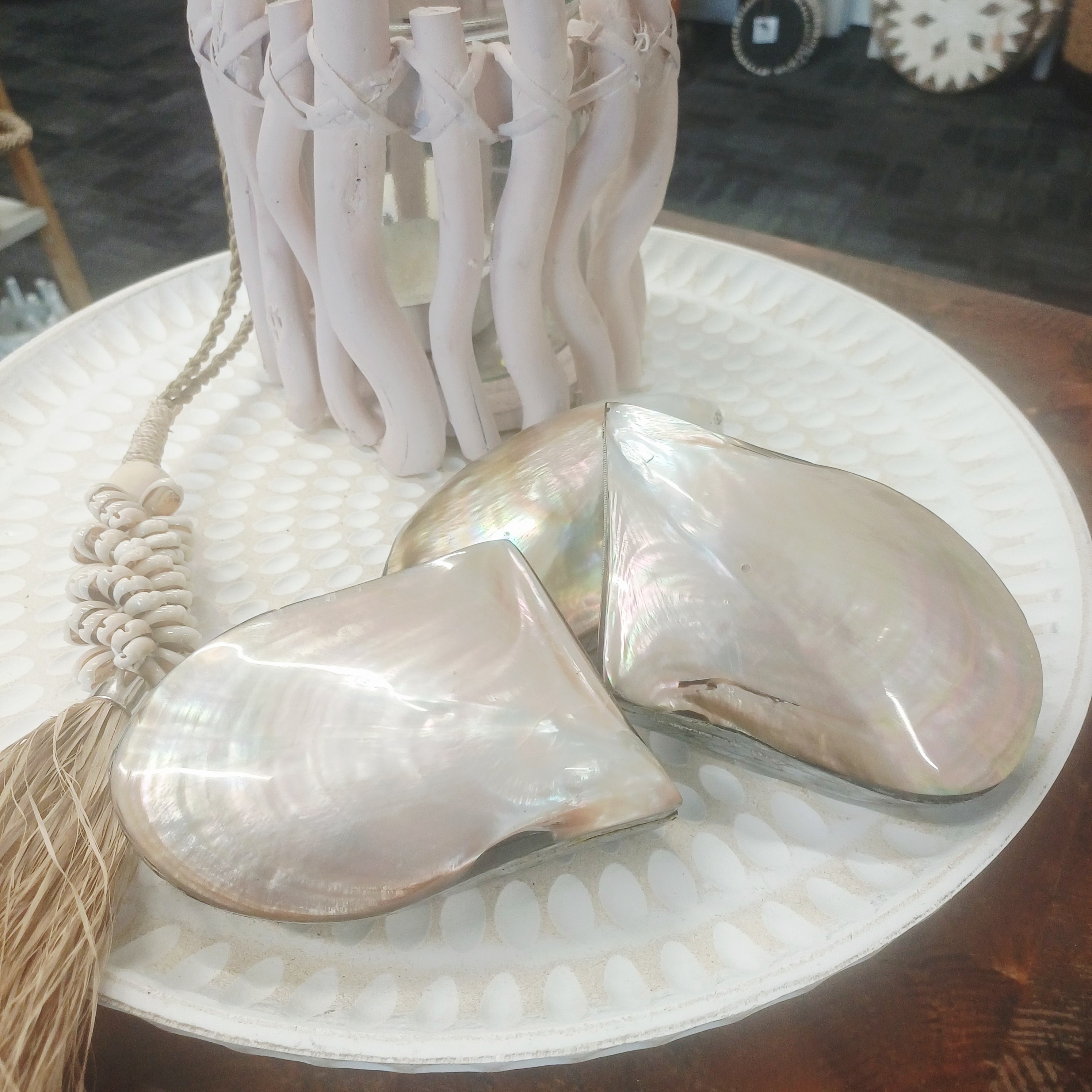 Natural Shell Jewellery Box – Handcrafted Coastal Decor | Home Story NZ