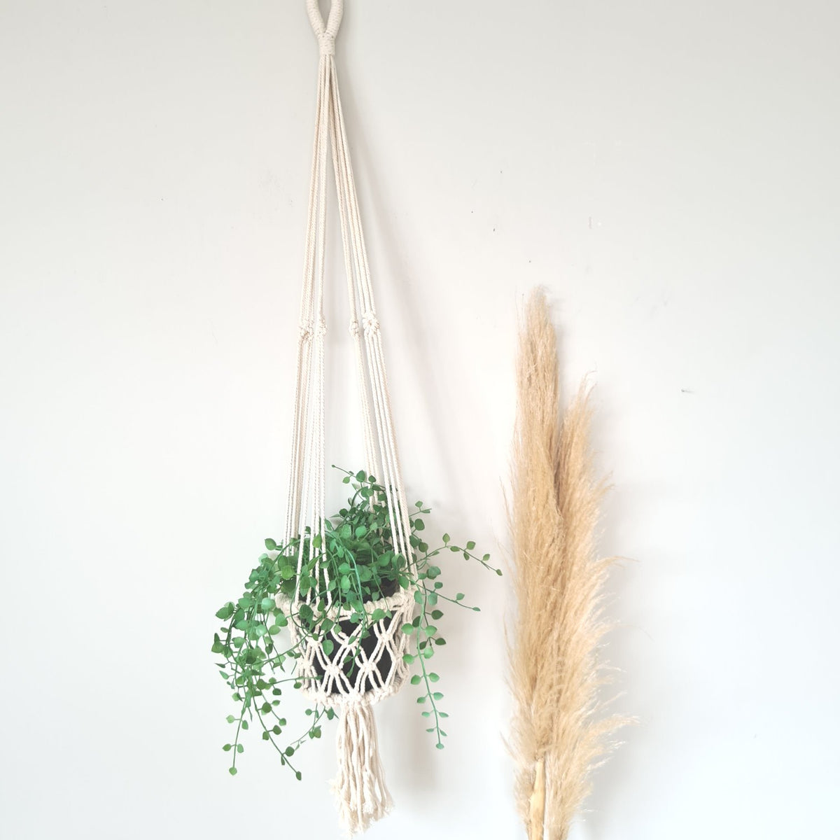 macrame plant hanger nz White Macrame Plant Hanger | Handmade Boho Decor